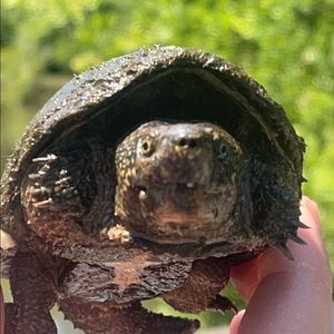 Meet your Posher, Brooks